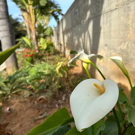 Bay View Villa *