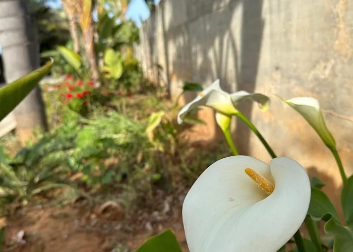 Bay View ヴィラ *